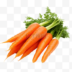 新鲜蔬菜胡萝卜