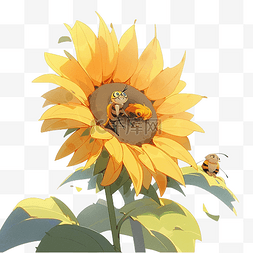 向日葵和花图片_向日葵和蜜蜂