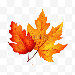 秋天的树叶的插图