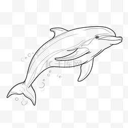 海豚单线线条艺术单线动物