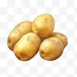 马铃薯蔬菜数字插图