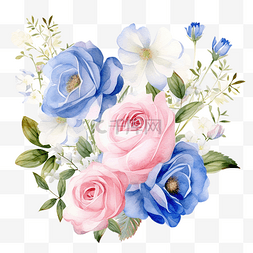 水彩美丽的粉色和白色玫瑰花毛茛