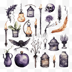毒蘑菇手绘图片_万圣节水彩套装巫术和巫毒物品手