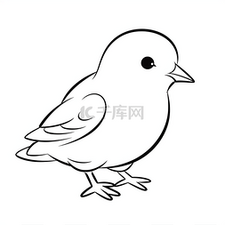 线条图片_可爱的小鸟着色页下载它们并尝试