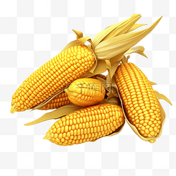 玉米3图片_3d 插图感恩节玉米