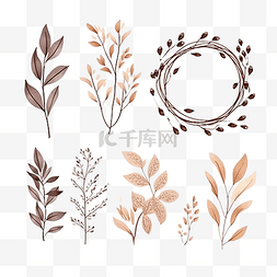 一组棕色干植物茎和叶花卉图案框
