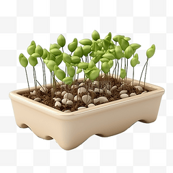 植物种子 3d 插图