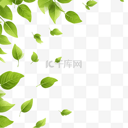 茶背景清新图片_飞扬的绿叶清新春天树叶环境与生