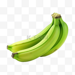 香蕉奶汁图片_未成熟的青香蕉