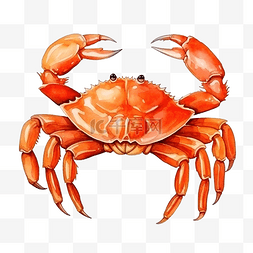 螃蟹剪贴画图片_水彩螃蟹海洋动物