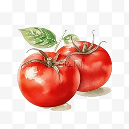 番茄干西红柿干图片_红番茄水彩风格感恩节装饰元素