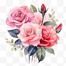 植物手绘粉色图片_水彩玫瑰花束