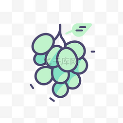 葡萄和无花果图片_绿色的葡萄图标 向量