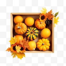 十一月背景图片_秋平铺着成熟的南瓜和黄叶在木箱