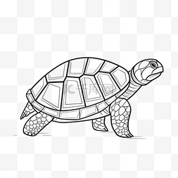 乌龟 单线线条艺术 一条线动物
