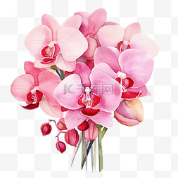 粉色的花圈图片_粉色兰花花花束水彩