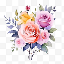 花束花卉玫瑰水彩