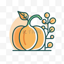 秋季橙色南瓜的矢量插图和线条图