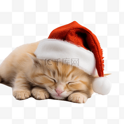 老人睡图片_圣诞小姜小猫甜蜜地睡在柔软舒适