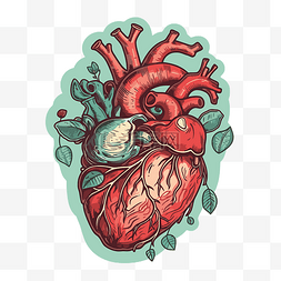 解剖心臟 向量