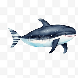 水彩鲸鱼条纹无缝图案