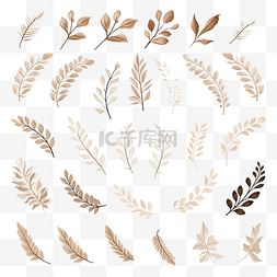 一组棕色干植物叶子插图框架图案