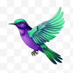 紫色的鸟，绿色的翅膀