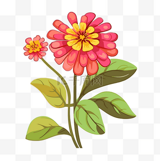 百日草剪贴画花与彩色叶子矢量插画卡通