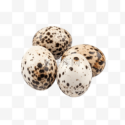 鹌鹑蛋PNG图片_孤立的鹌鹑蛋