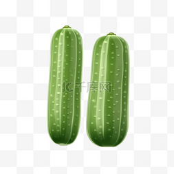 两个现实的绿色黄瓜