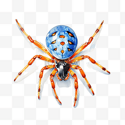 蓝色蜘蛛与橙色标记绘图