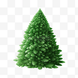 木插图图片_雪中??绿色蓬松的圣诞松树