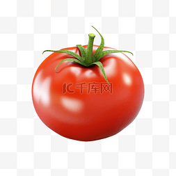 植物番茄图片_番茄隔离 3d 渲染