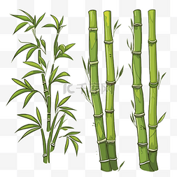 竹剪贴画插图集显示一堆竹子植物