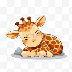 可爱的睡着的长颈鹿