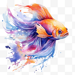 鱼抽象图片_水彩鱼抽象飞溅和充满活力的色彩
