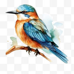 一只鸟的水彩插图