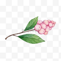 水彩水果边框图片_粉红色果实树叶