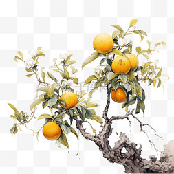 简洁茂密橘子树元素立体免抠图案