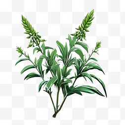 阿利伯数字图片_阿绿色植物元素立体免抠图案