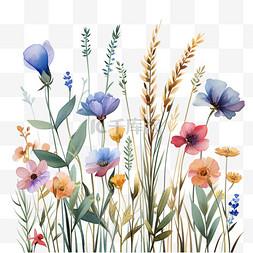 和花草图片_春天植物花草手绘免抠元素