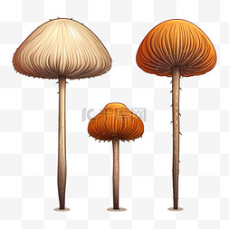 蘑菇造型图片_造型艳丽蘑菇元素立体免抠图案