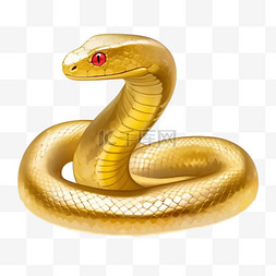 蛇蛇图片_十二生肖金箔素材蛇