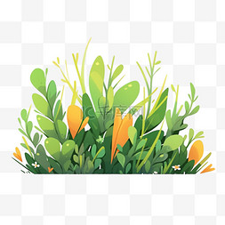 简单的天然植物图片_装饰素材春天花丛草丛