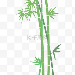 简单的天然植物图片_春季竹子竹笋装饰png图片
