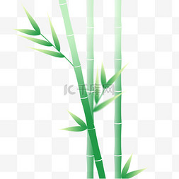 春季竹子竹笋装饰植物图片