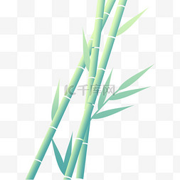 春季竹子竹笋装饰绿植免抠素材