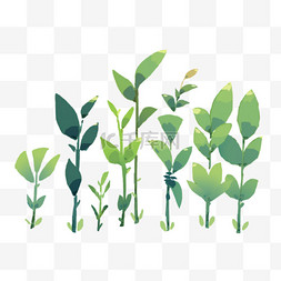 春天绿色植物插画图片_春天绿色植物装饰图案图片