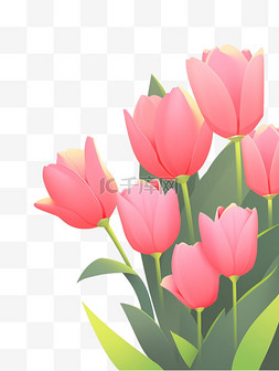 花朵方形装饰框图片_郁金香装饰素材粉色