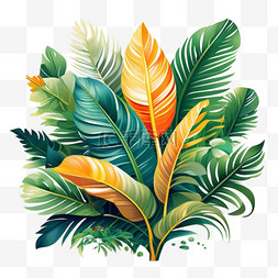 三调芭蕉扇图片_绿植热带芭蕉叶雨林植物素材